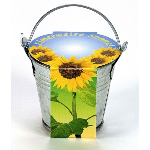  Zink-Eimerchen Sonne, Zwergsonnenblume, 1-4 c Digitaldruck inklusive