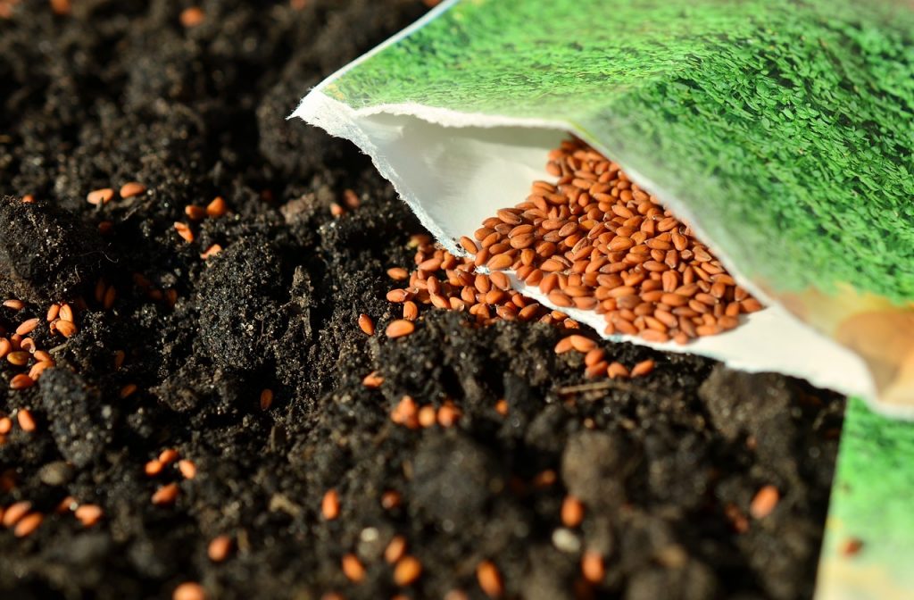 Aus einer Papiertüte fallen Samen und verteilen sich auf der Erde