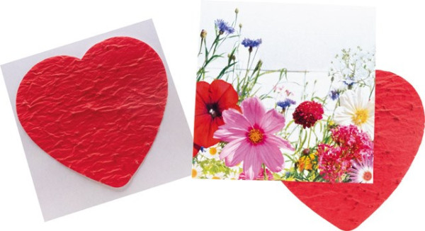 Herzliche Blumengüße, bunte Blumenmischung, 1-4 c Digitaldruck inklusive