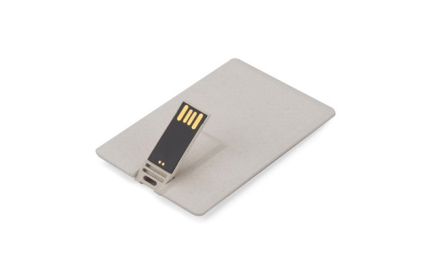 USB Stick ECO CARD 64 GB