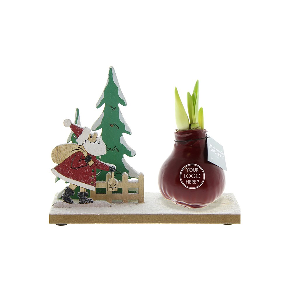 No Water Flowers® - Winter Wonderland, Ohne Verpackung, Rosa