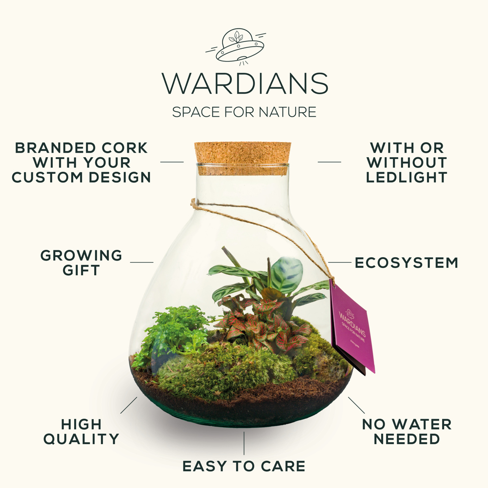 Wardians® Ecosystem - Stripe large, Ohne Verpackung