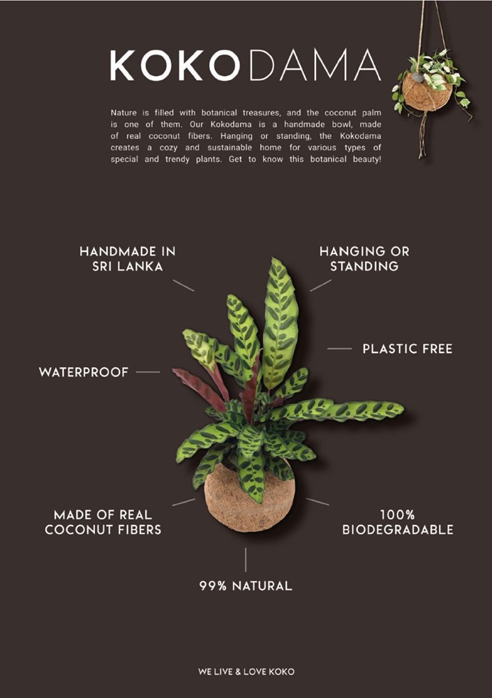 Kokodama® - Easy care mix (XS), In Geschenkbox