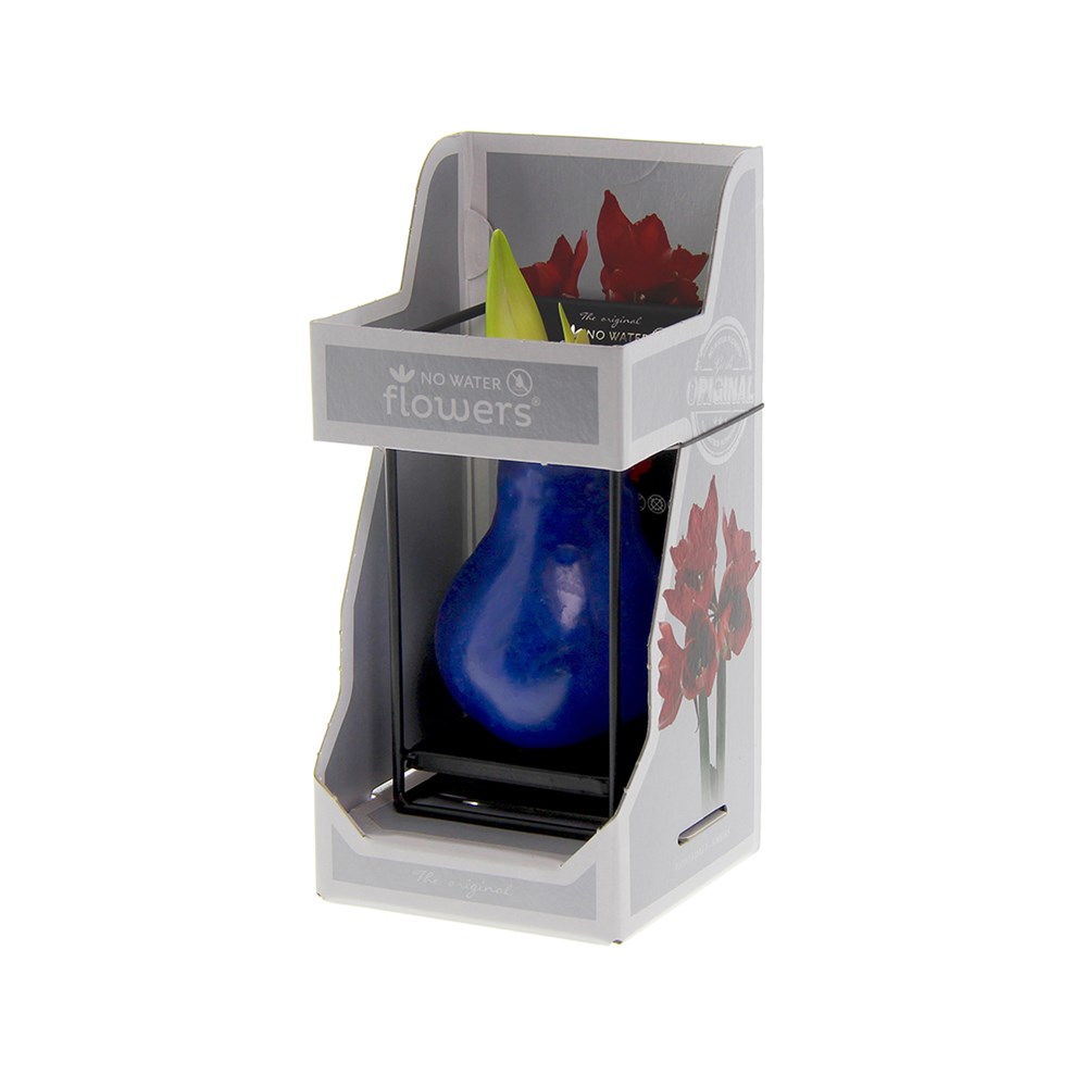 No Water Flowers® - Formz industrial, In Geschenkbox, Gelb