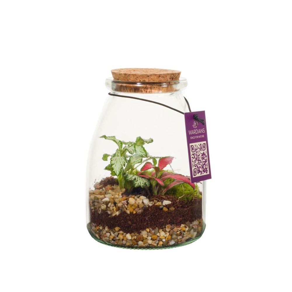 Wardians® Ecosystem - Bottle small, Ohne Verpackung