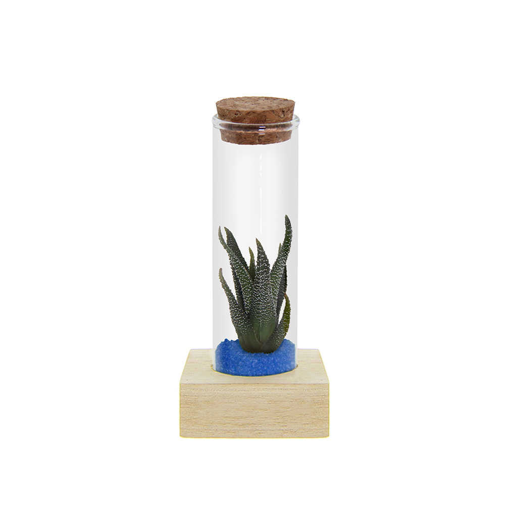 Tiny Treasurez® - Single tube & wood, Blau