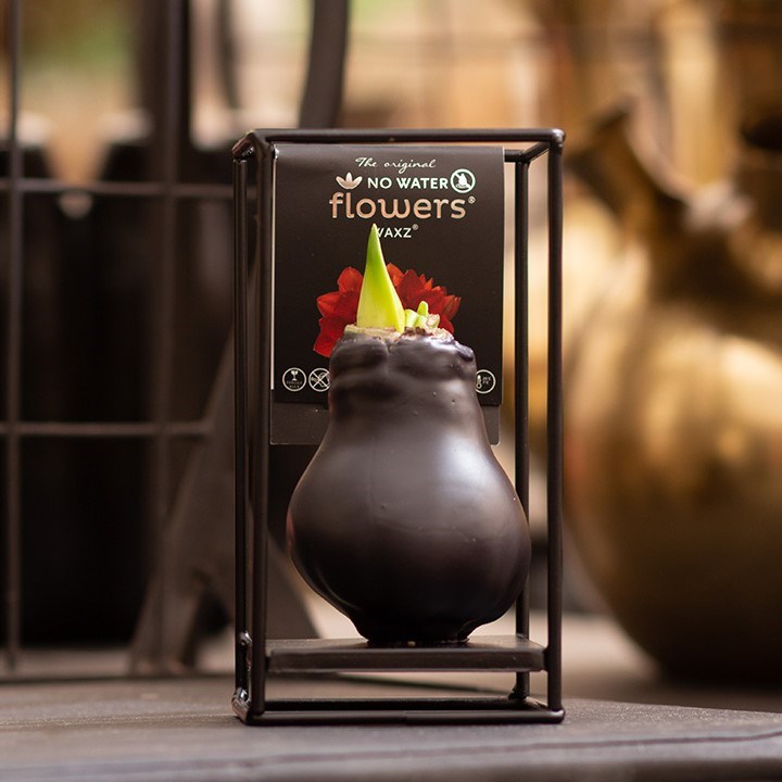No Water Flowers® - Formz industrial, In Geschenkbox, Gelb