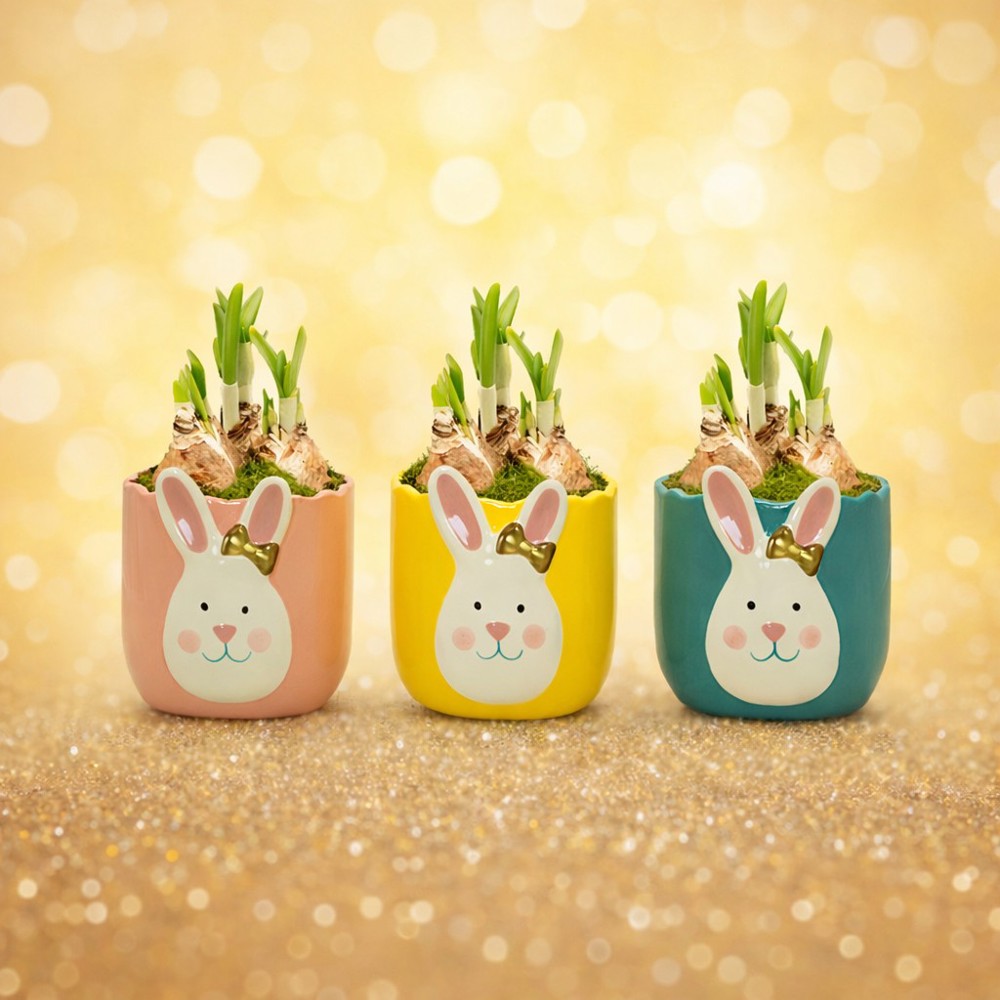 Easter golden bunny medium - Narzisse, In Zellophan