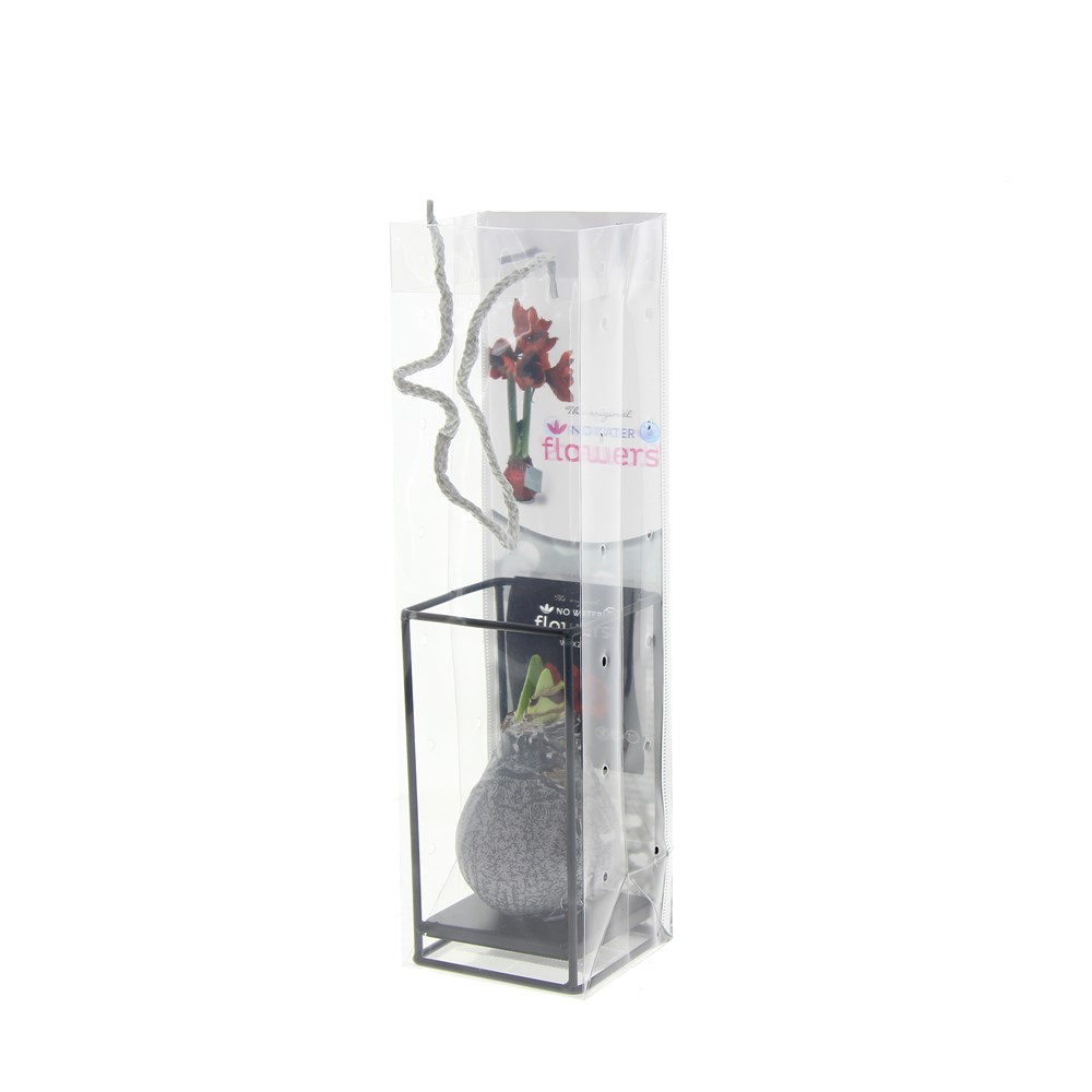 No Water Flowers® - Formz industrial, In Geschenkbox, Gelb