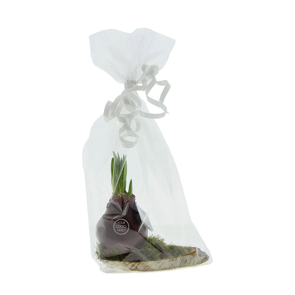 No Water Flowers® - Waxz® on wood, Ohne Verpackung, Blau