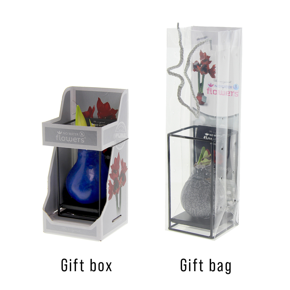 No Water Flowers® - Formz industrial, In Geschenkbox, Blau