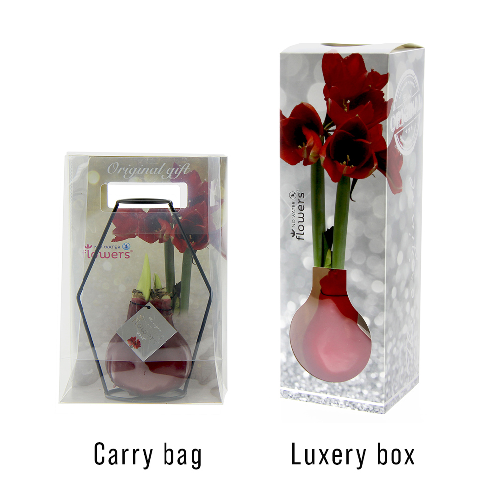 No Water Flowers® - Formz modern, In carry bag, Lila
