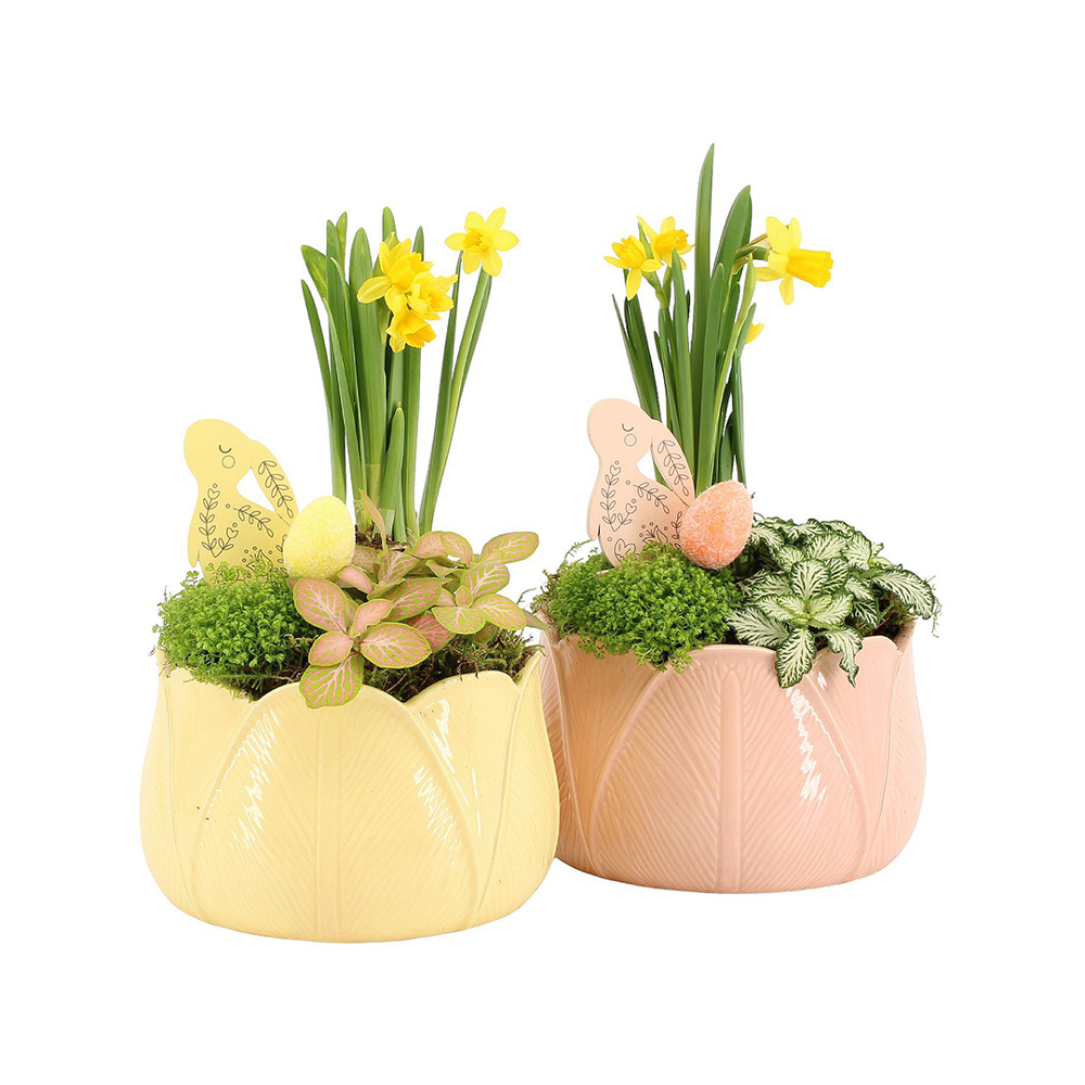 Easter colourful ceramic large - Narzisse, In Zellophan mit Schokoladeneiern