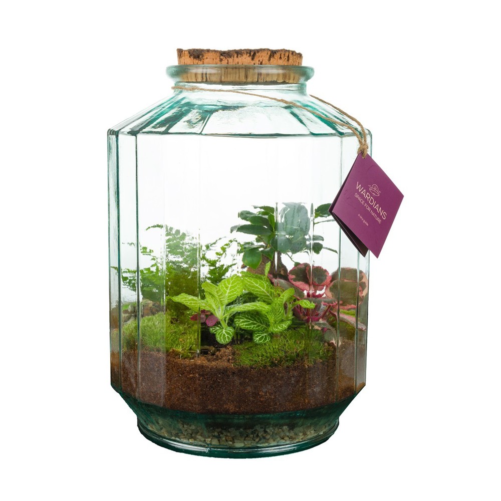 Wardians® Ecosystem - Stripe large, Ohne Verpackung