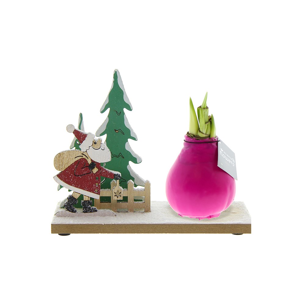 No Water Flowers® - Winter Wonderland, Ohne Verpackung, Rosa