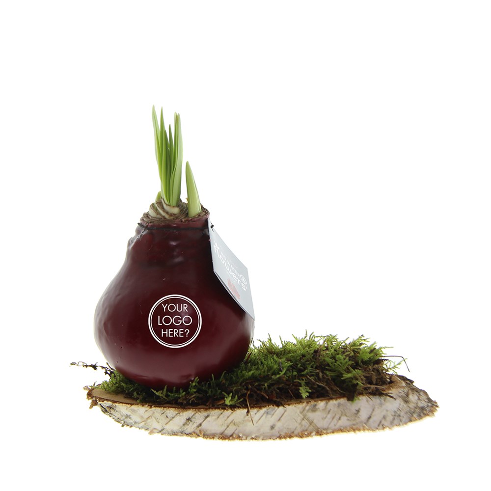 No Water Flowers® - Waxz® on wood, Ohne Verpackung, Blau