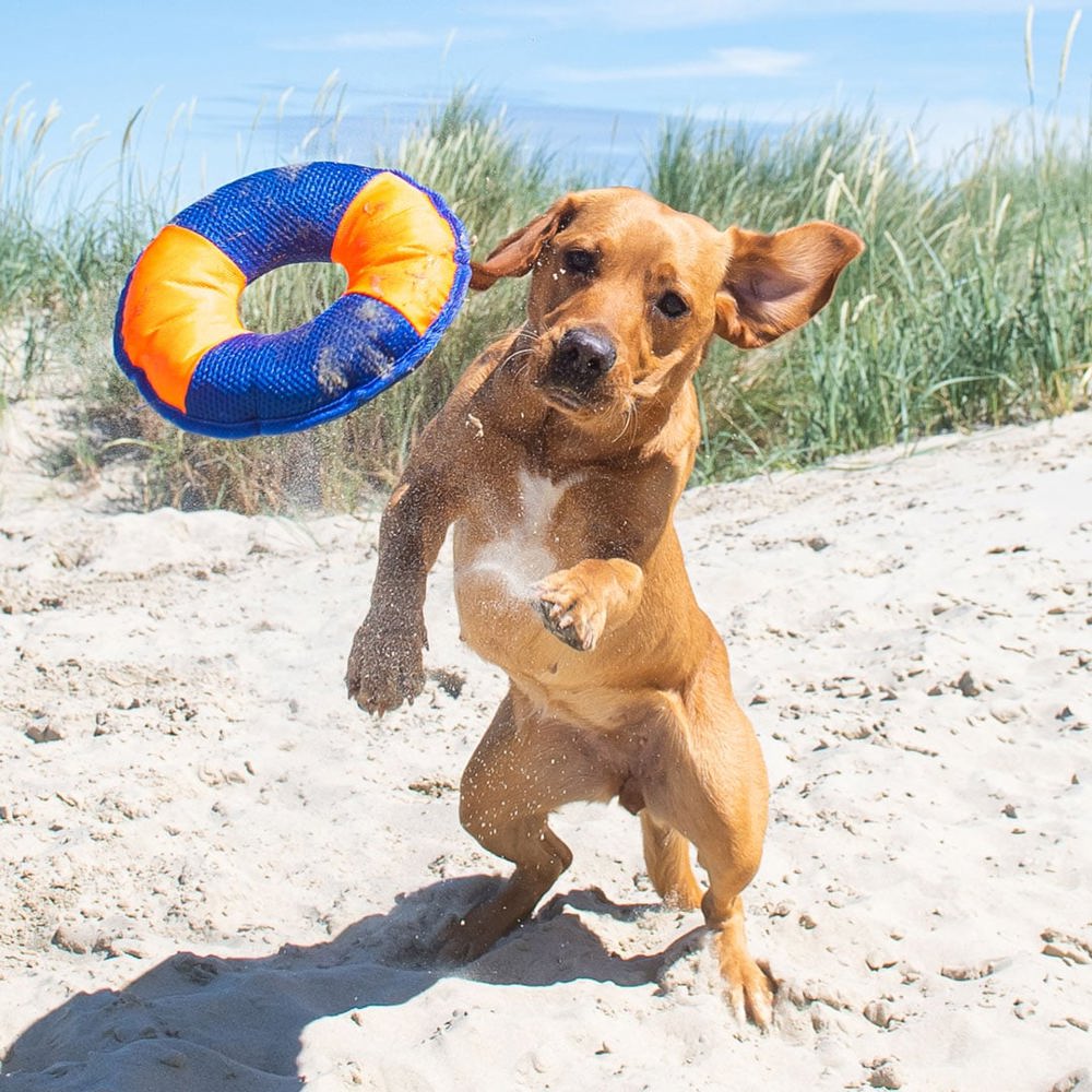 Hundespielzeug Flying Disc, grün/grau, M