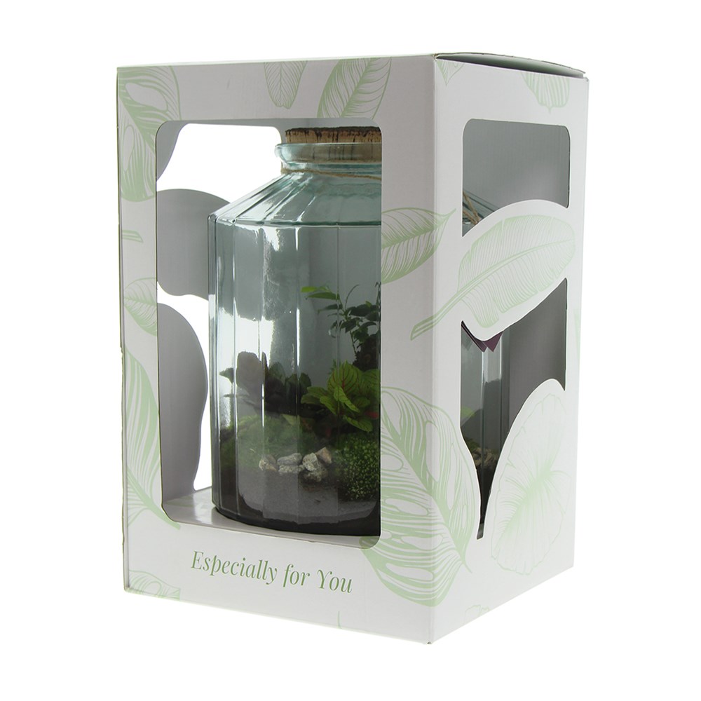 Wardians® Ecosystem - Stripe large, Ohne Verpackung